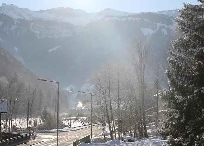 Apartment Bergblick-Mellau