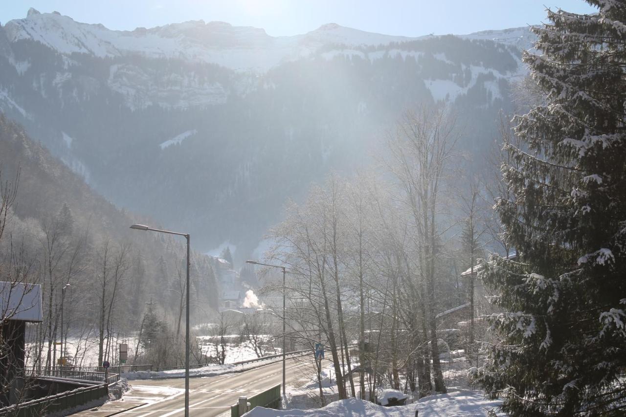 Bergblick-mellau Apartment